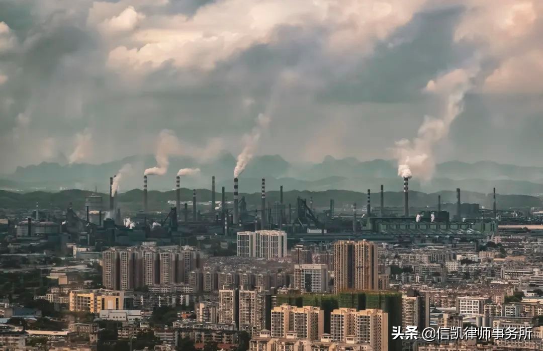 王蕾蕾律师帮助企业打赢政府违法强拆官司