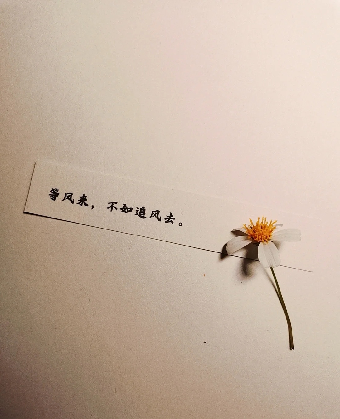 人间清醒的文案短句