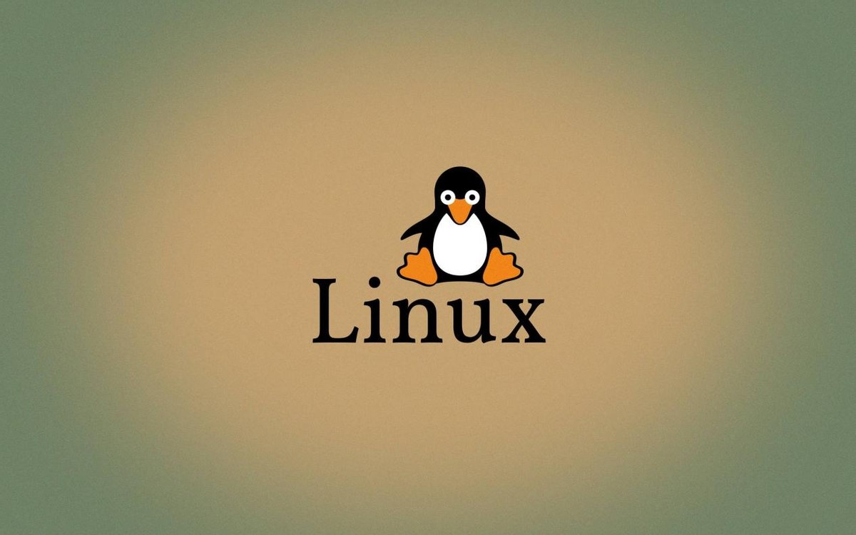 LINUX查看文件操作