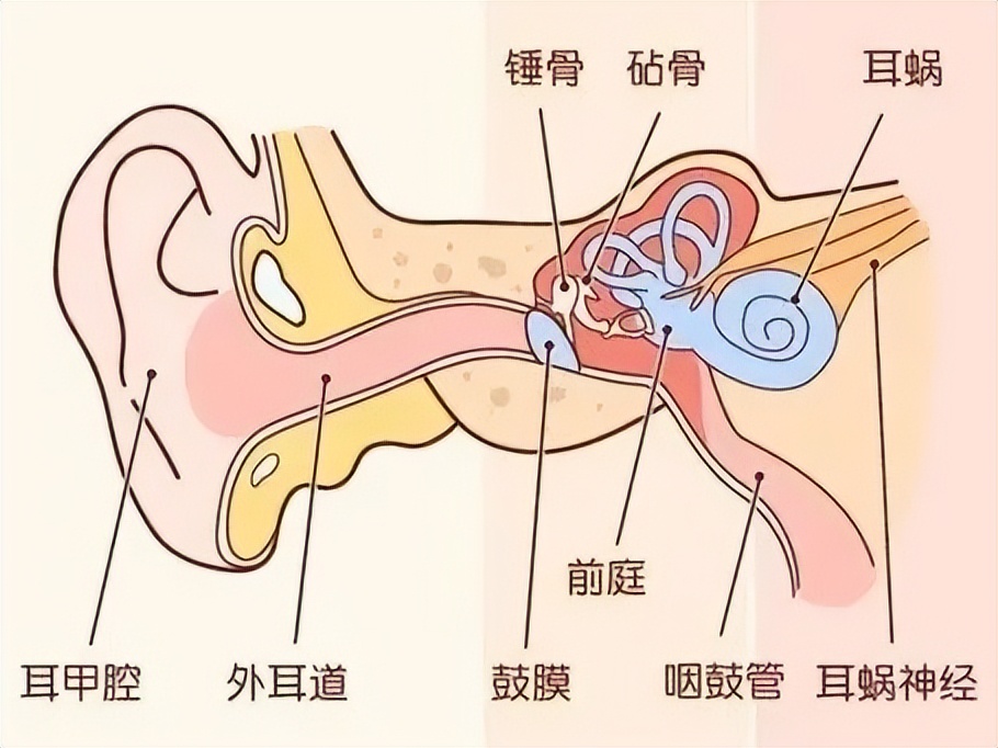 小米air2se右耳没声音不亮灯（小米air2se右耳没声音不亮灯了）-第2张图片-昕阳网