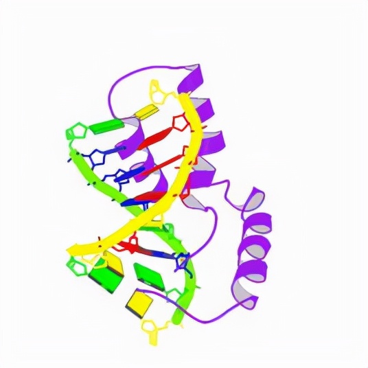 双性人是什么意思(双性人为什么存在,他们是进化了还是退化了?