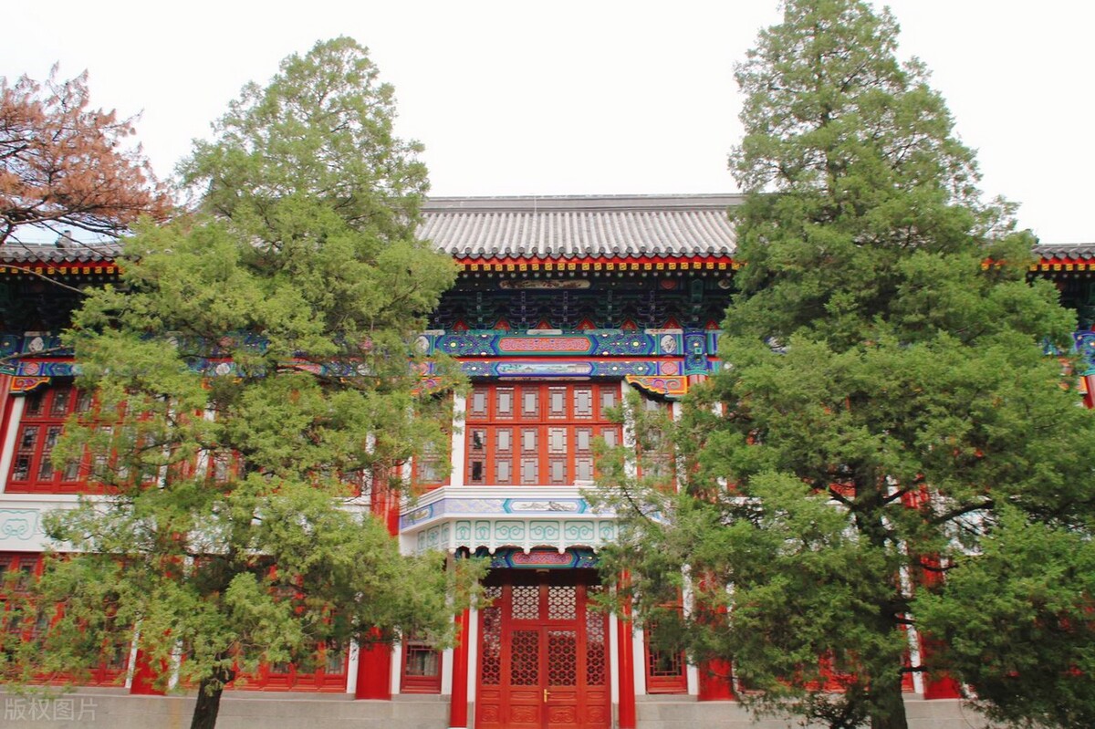 想考清北的高考生，为何一定要参加强基计划？裸考机会少一半