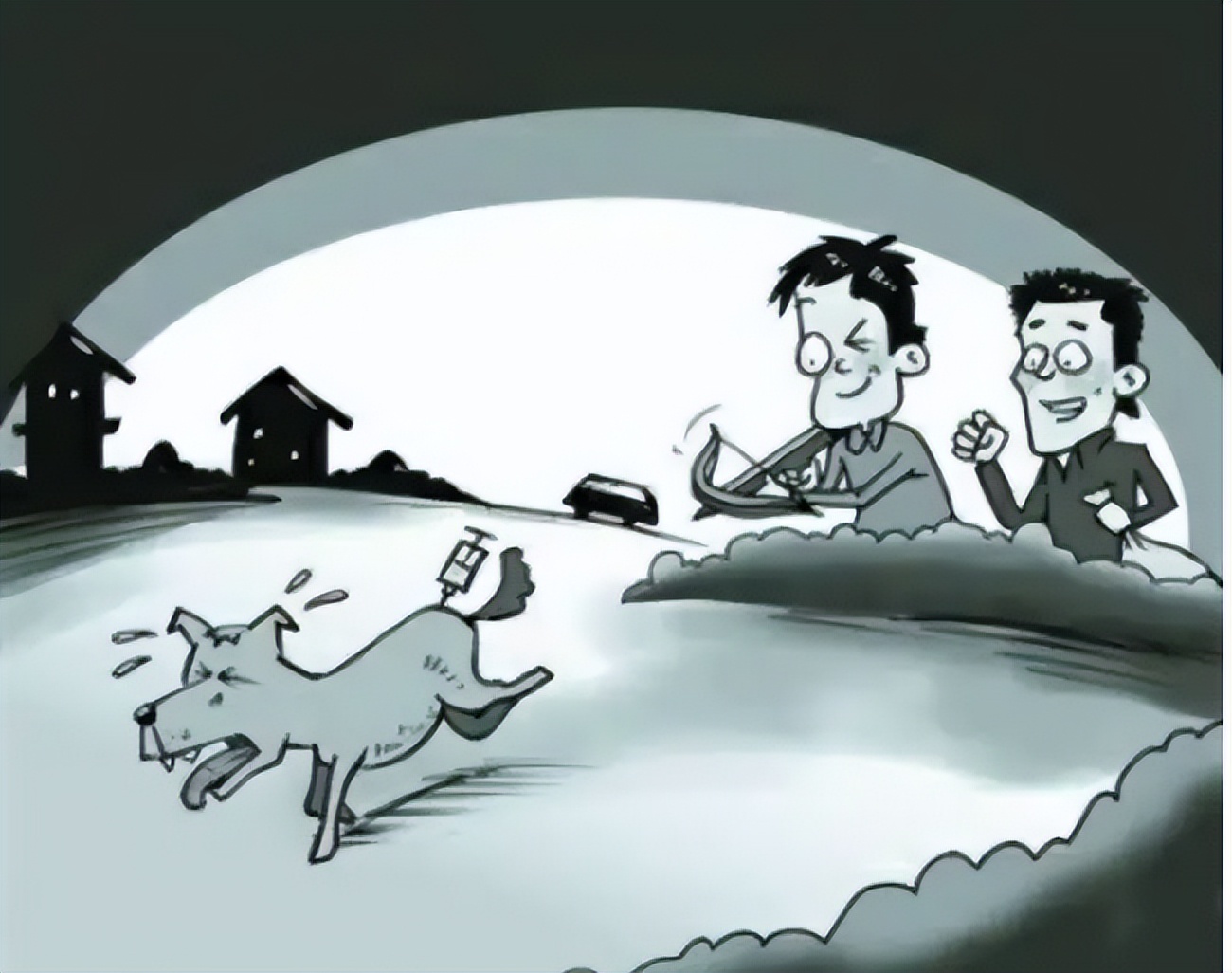 偷狗贼用的什么药,为何这么毒?