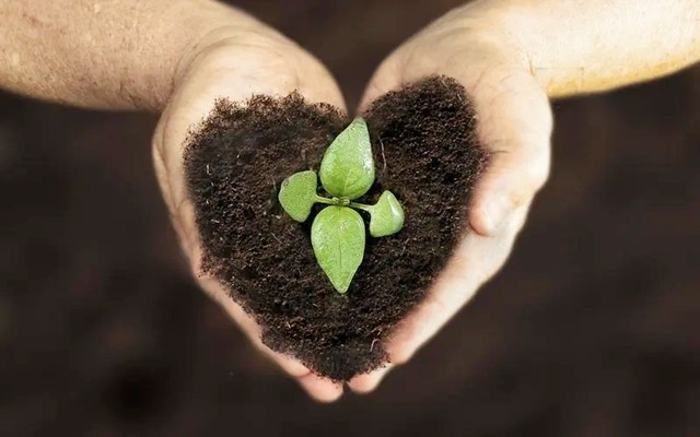 日本男子迫害老师，为躲避警察亲自整容，被捕后出书赚千万版税