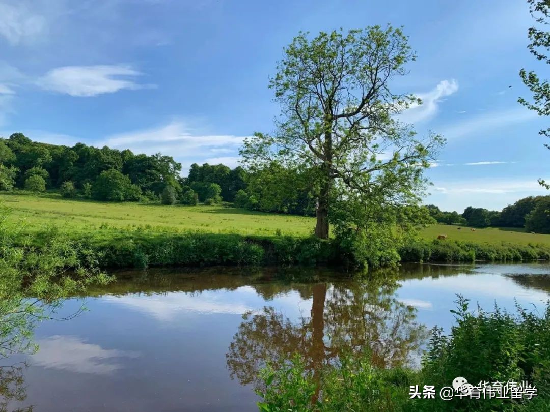 英国硕士毕业后我回国进央企做HR，负责校招的我想给你一点忠告