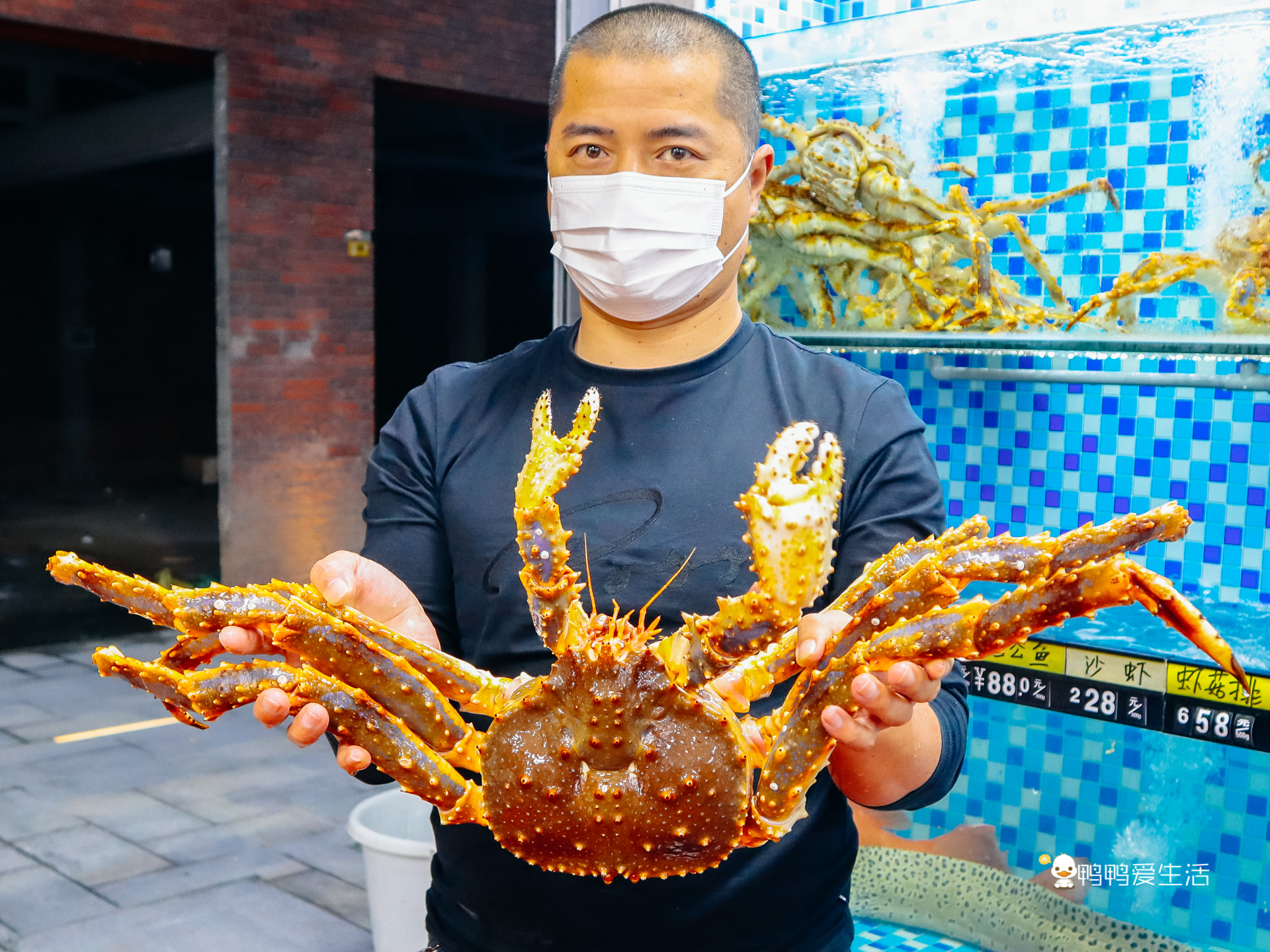 厦门这家本地人都爱的大排档，来了还想来，不多见的海鲜都能吃上