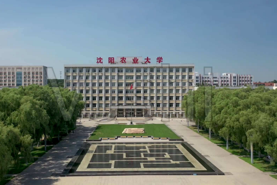 “辽宁省”高校排行榜，大连理工荣登榜首，东北大学紧随其后