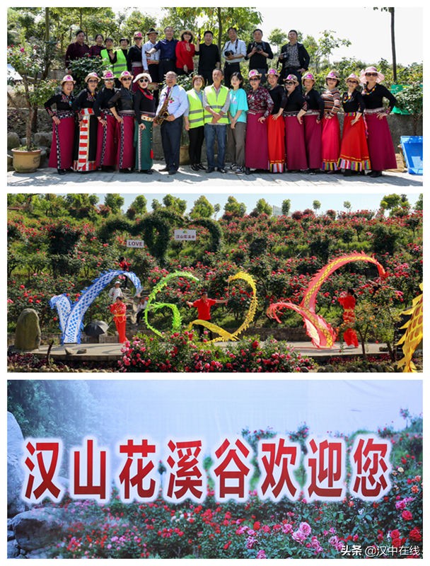 美爆了！漢山花溪谷繁花似錦.姹紫嫣紅