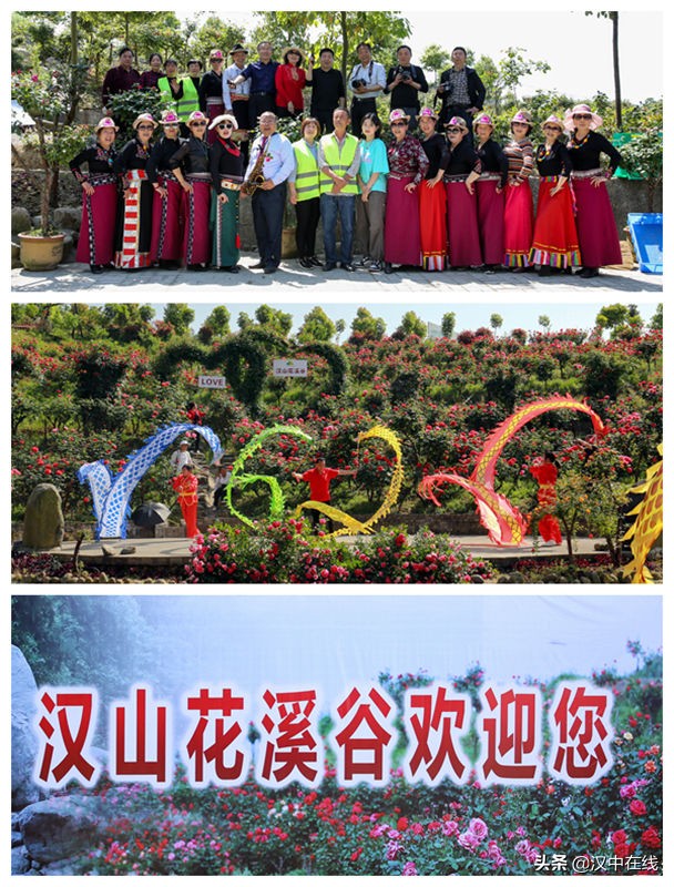 美爆了！漢山花溪谷繁花似錦.姹紫嫣紅