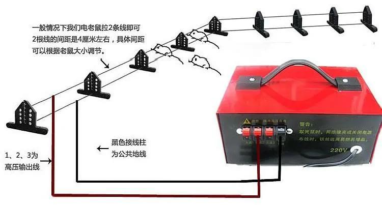 超声波驱鼠器真的有用吗？有什么捕鼠神器