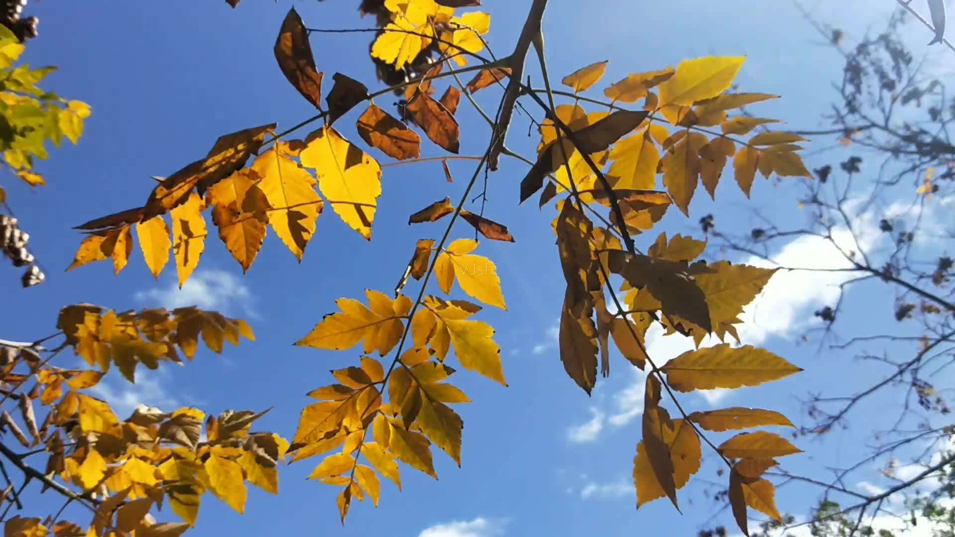 未入选《唐诗三百首》最著名的20首诗，其中有很多首你都能背下来