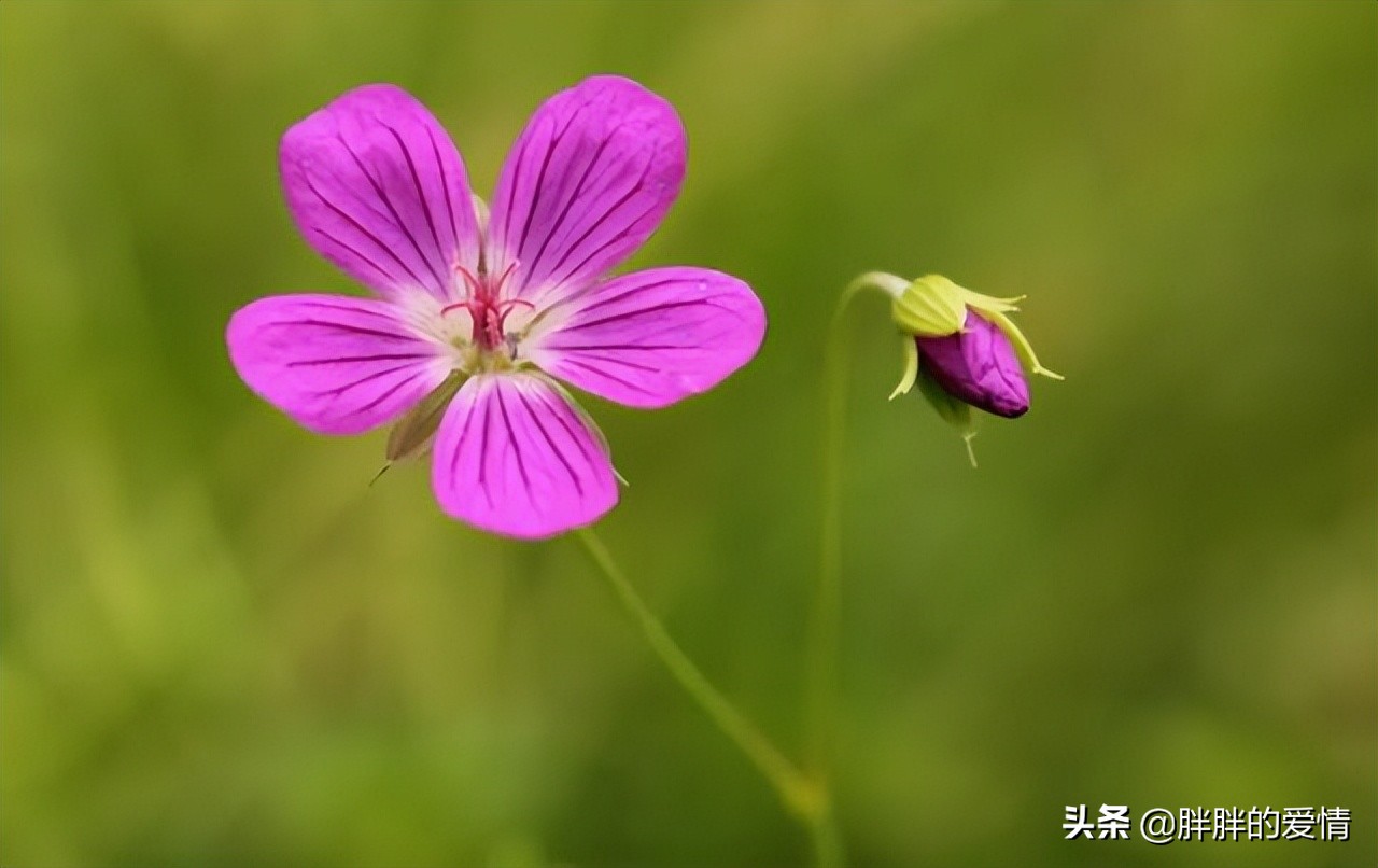 往事归零，爱恨随意；从此山水不相逢，不问旧人长与短