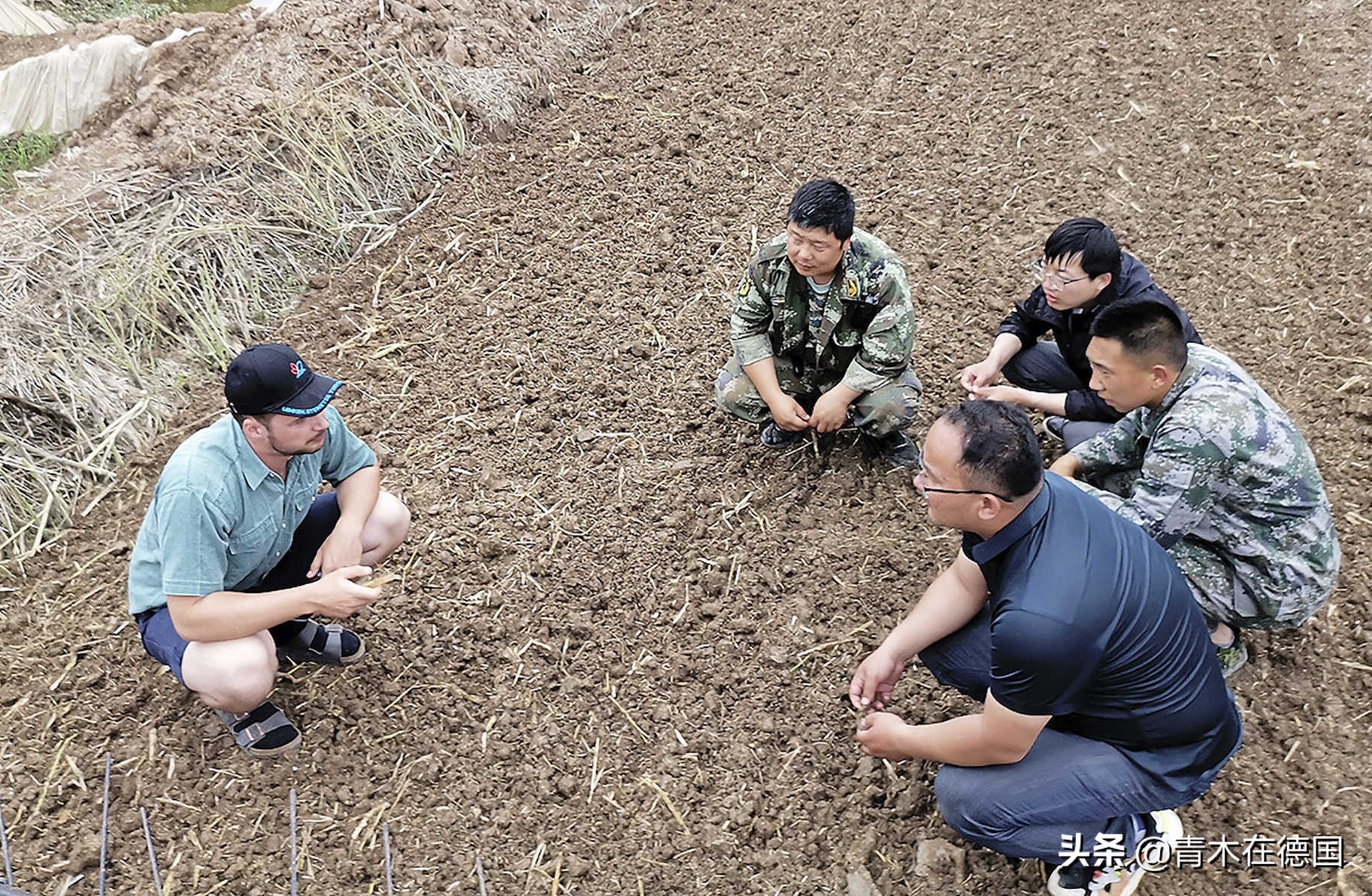德媒：德国可从中国农业学到什么，一大趋势让欧洲农民特别羡慕