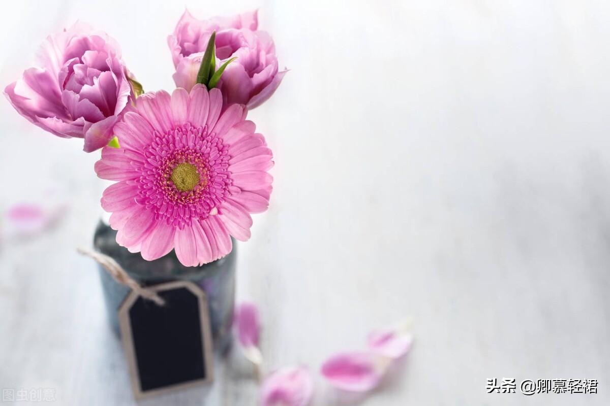 母亲节，请你和我一起赏读作家冰心写给母亲的诗歌