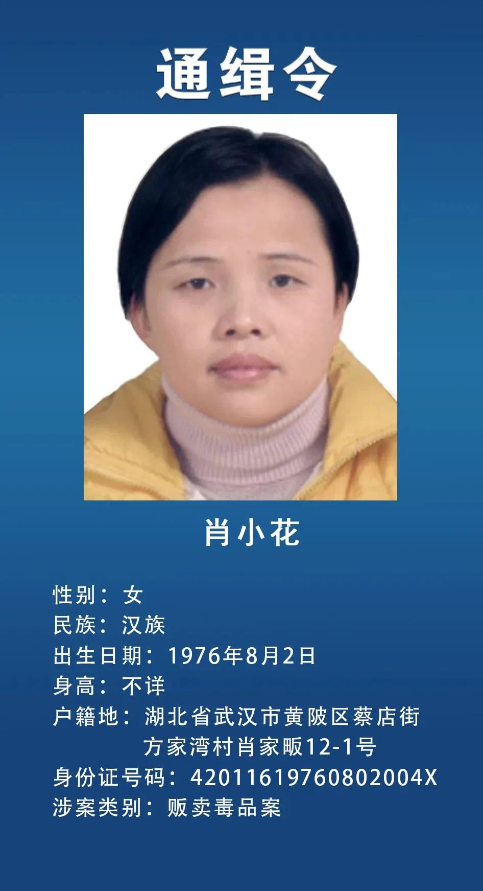 网上通缉犯,网上通缉犯怎么查
