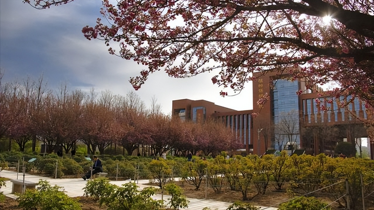 尤其是陕西省,省内不仅有西北工大和西安交大带动,还有很多实力非常