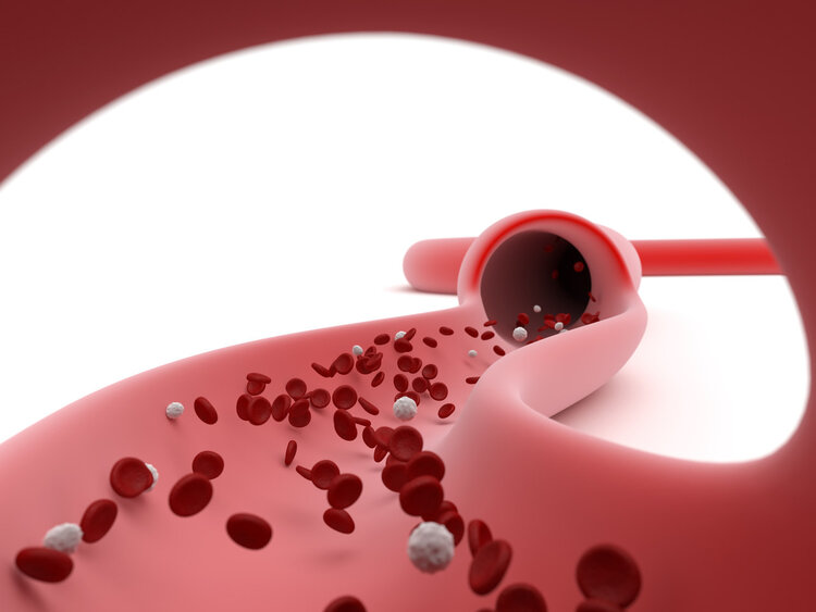 喝茶会伤肾吗？长期喝白开水与长期喝茶的人，谁的身体更健康？