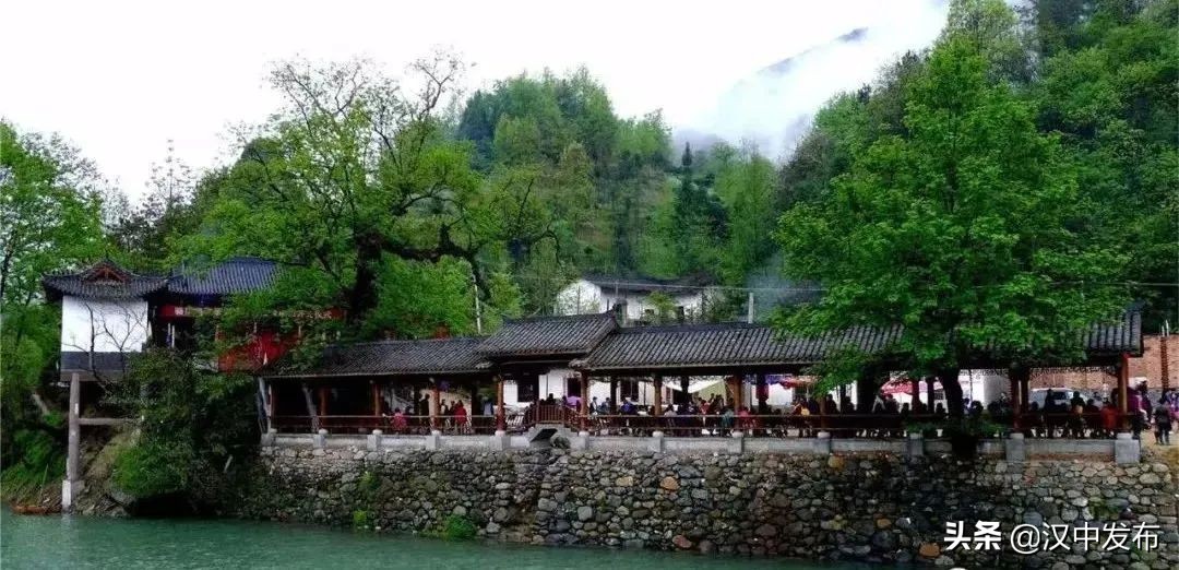 倒計(jì)時(shí)2天！2022西鄉(xiāng)茶葉櫻桃采摘體驗(yàn)文化旅游活動(dòng)即將啟幕