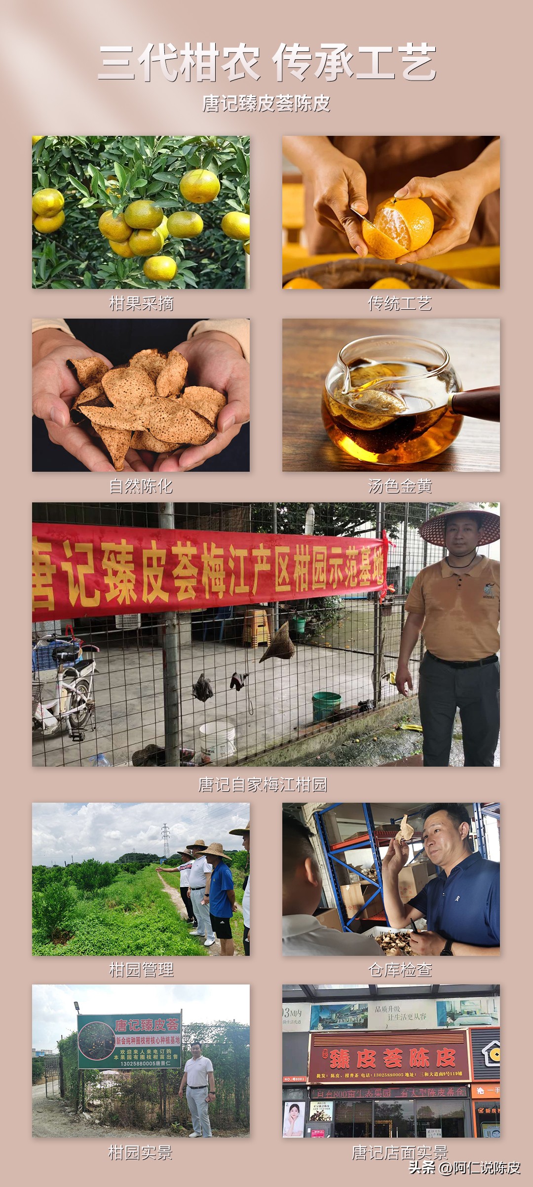 东甲和西甲的柑哪里好（「强烈收藏」新会陈皮百科-新会陈皮的一线核心各产区的区别）