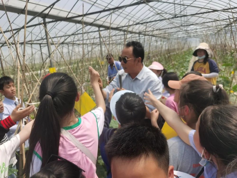 泗陽縣實驗小學:小小農(nóng)夫捉蟲忙(圖9) 泗陽縣實驗小學:小小農(nóng)夫捉蟲忙(圖9)