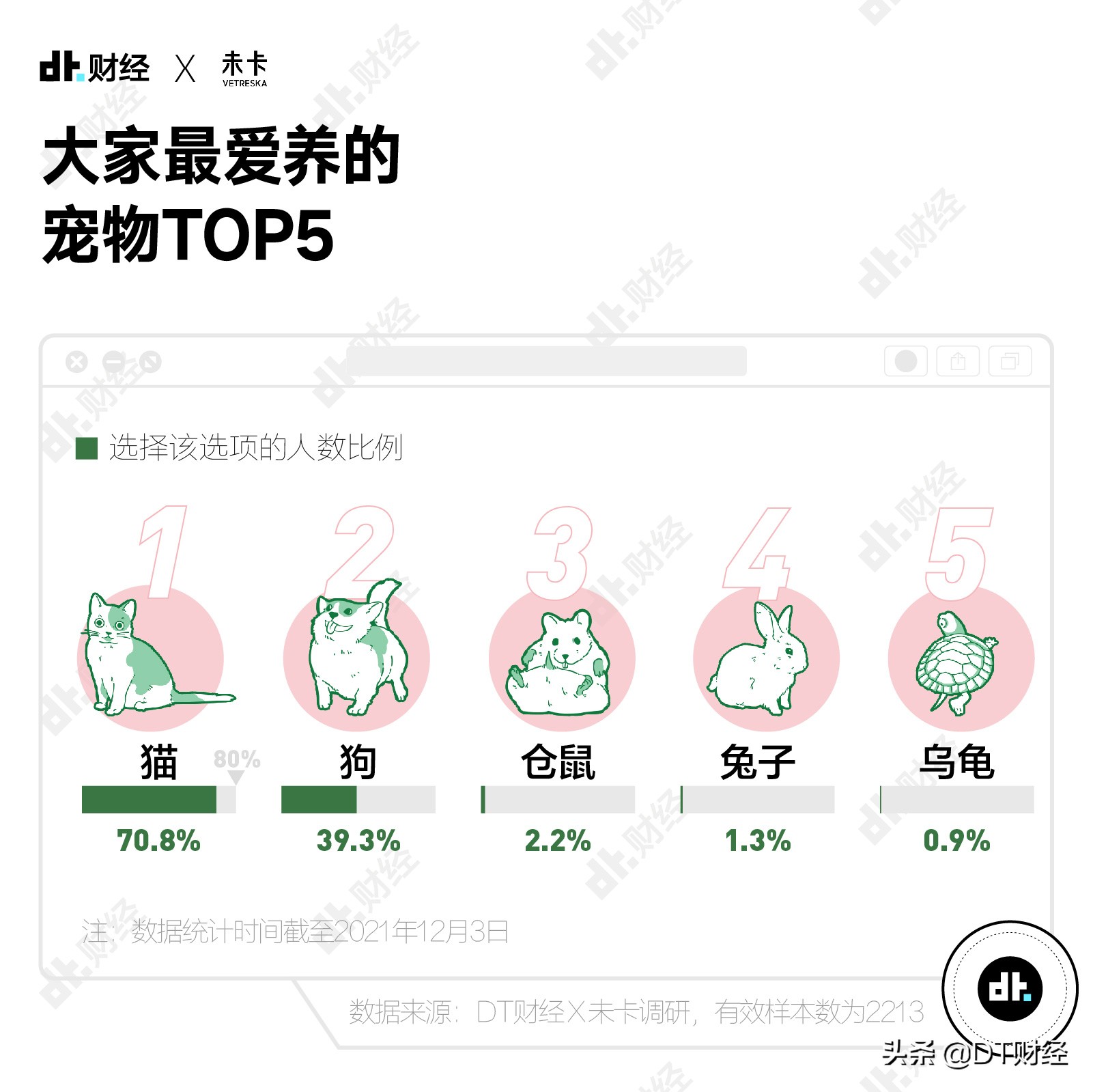 国产青年养宠报告：最适合新手饲养的十大猫咪品种排行榜