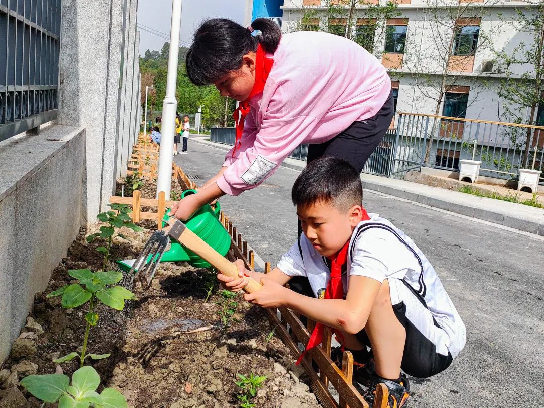 「责任教育 劳动课程」成都市双流区黄甲小学开发特色劳动种植课程