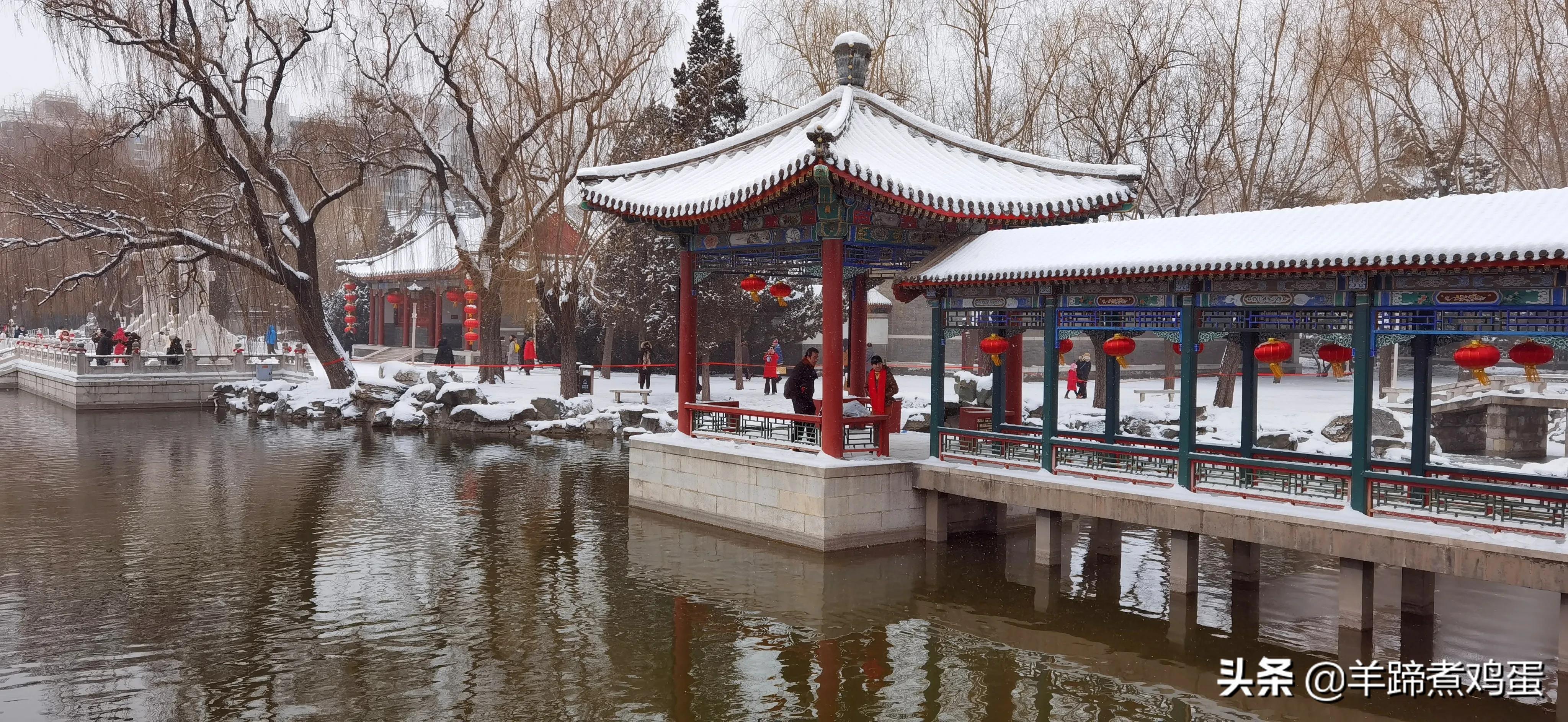 难览观园全画景雪覆腊梅一隅香——踏雪寻游北京大观园