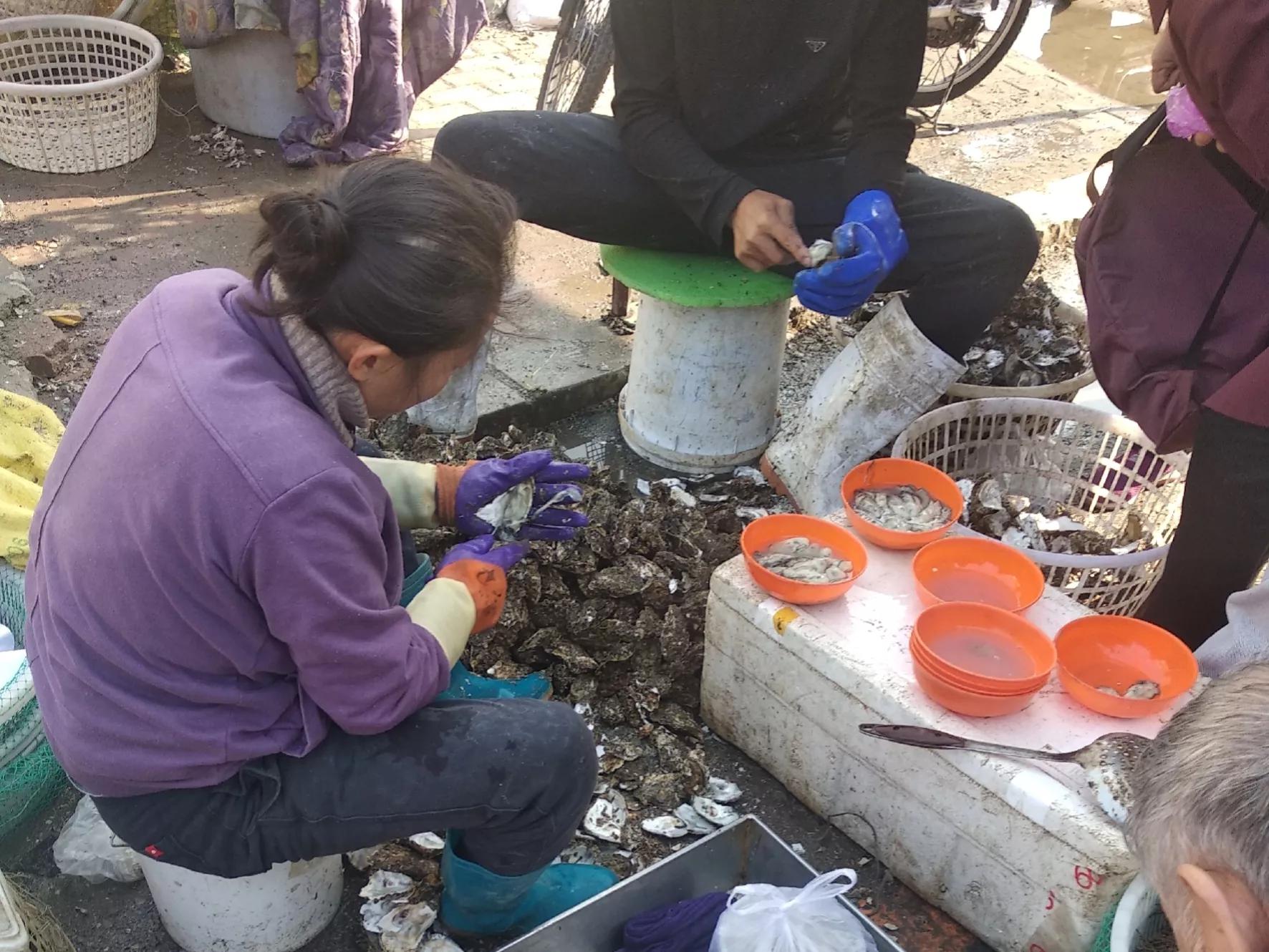 生蚝怎么开壳（都是牡蛎）