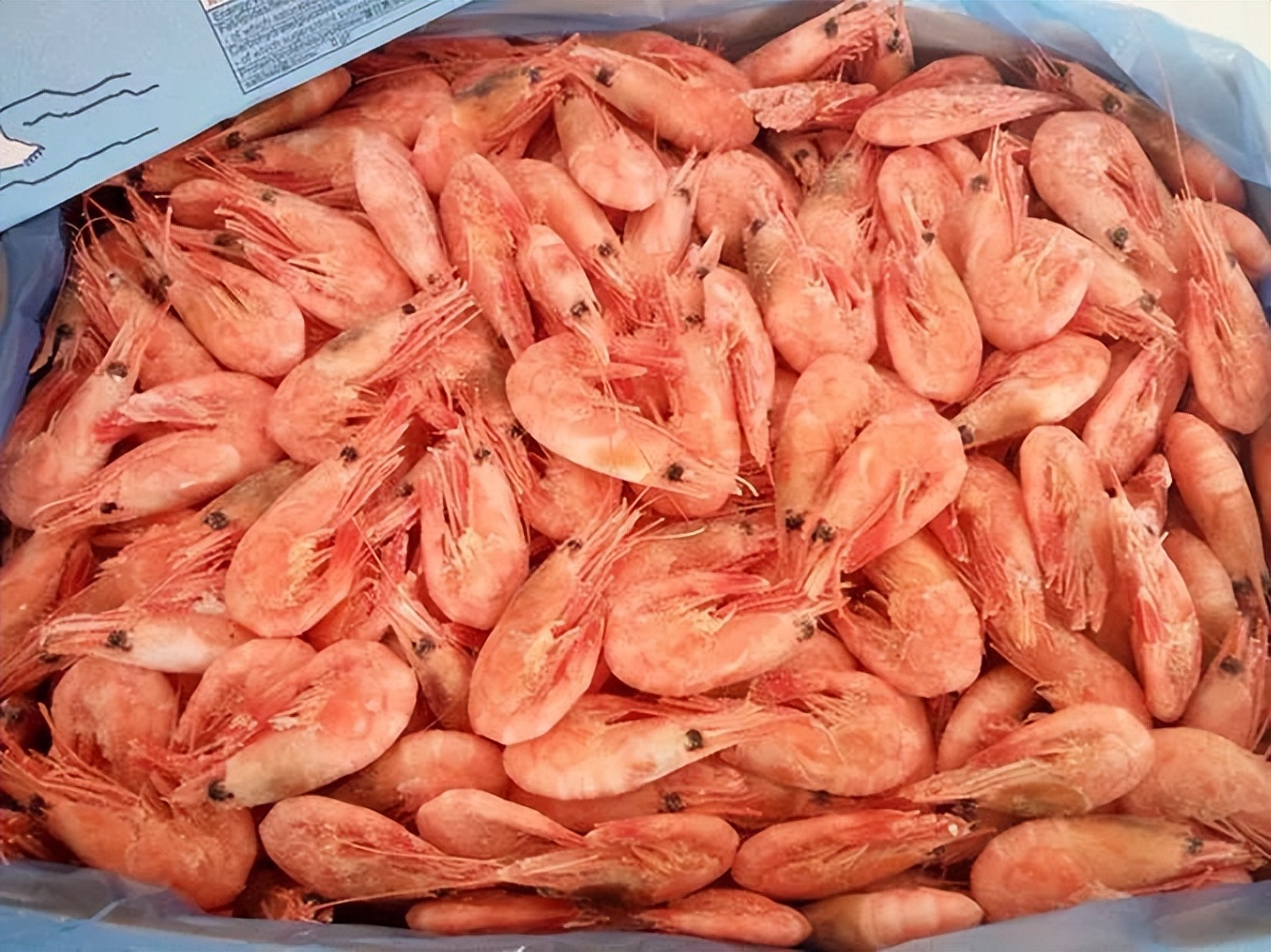 北极甜虾是生的还是熟的（北极虾的冷冻保存方式）