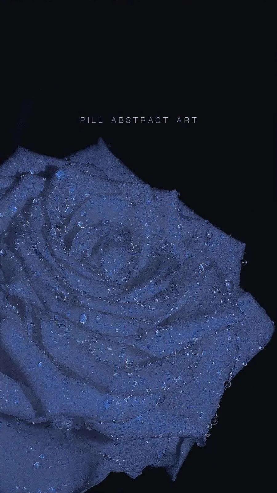 「文案」有期待终会有相见