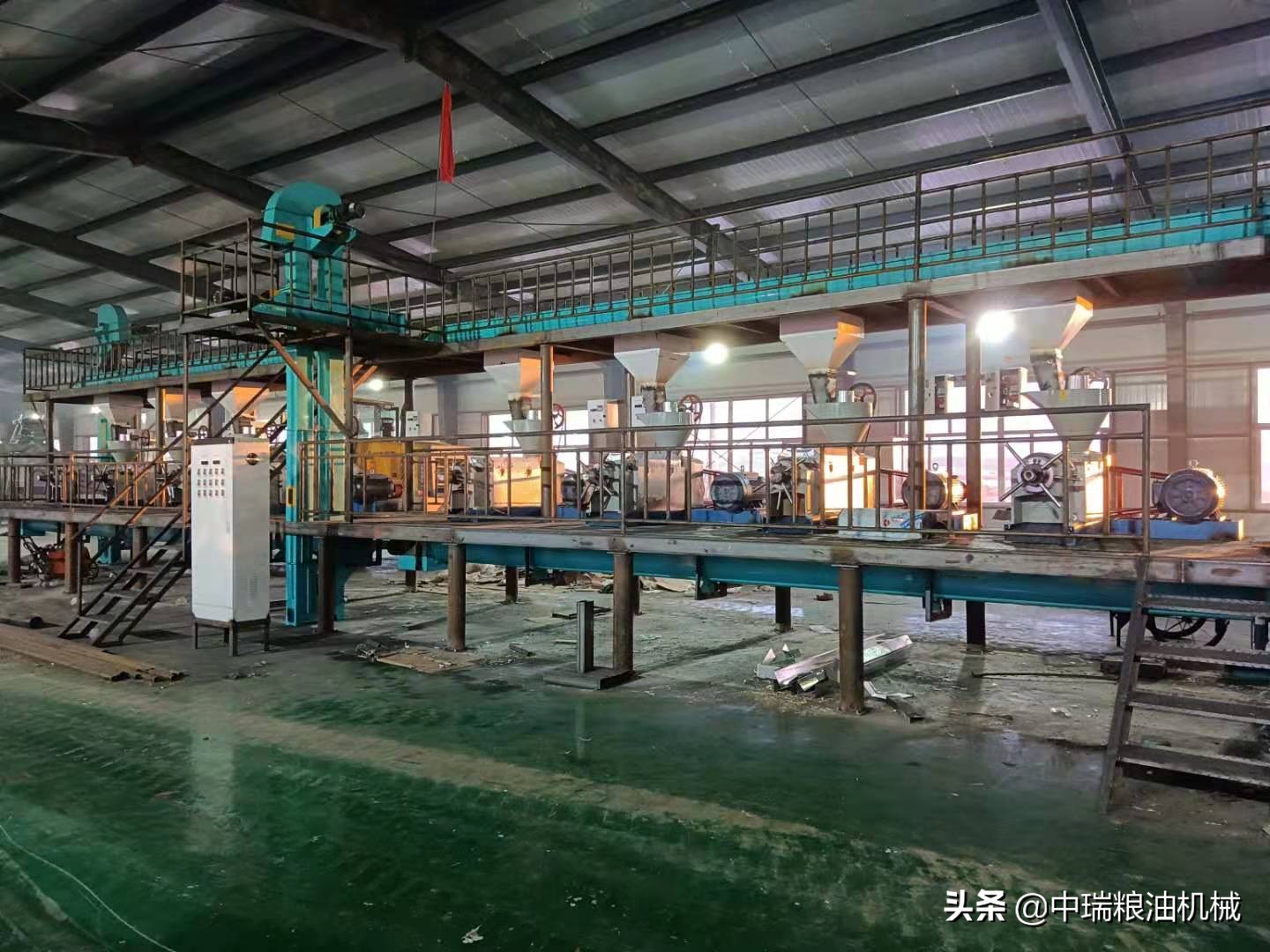 山茶果怎么榨油？榨山茶油的专用机器