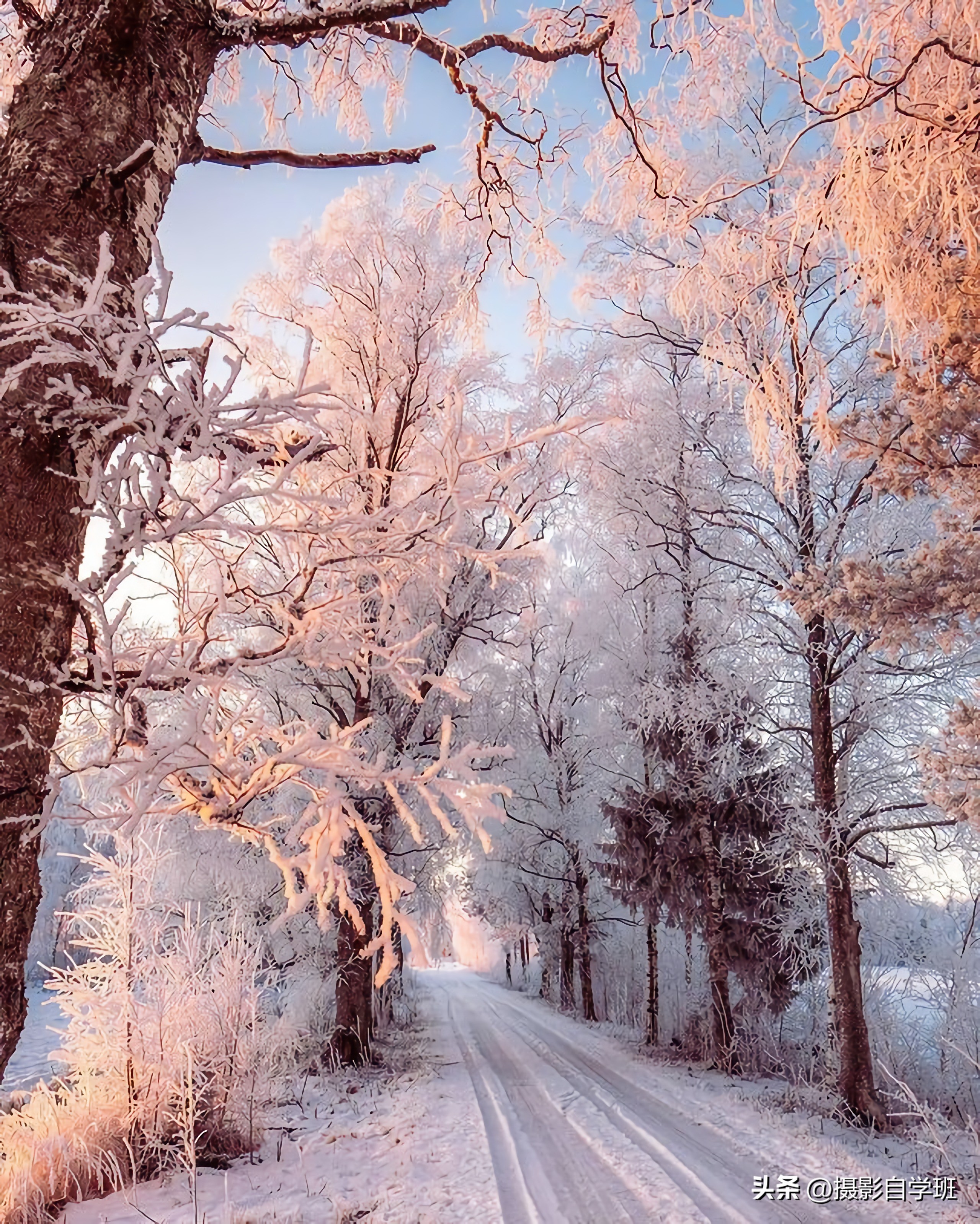 描写冬天景色优美的作文,描写冬天景色优美句子