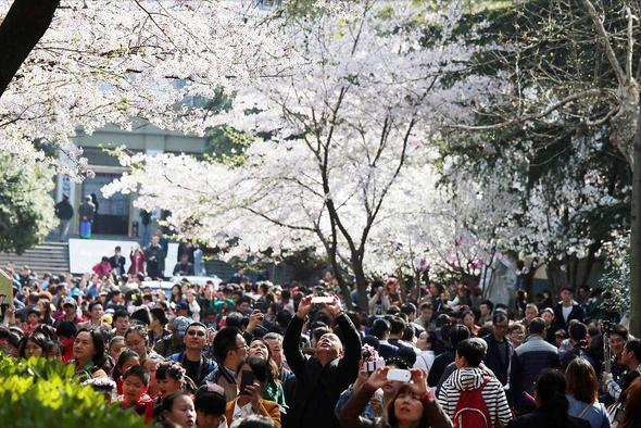 高校排行榜出炉！武汉大学冲进前五，力压南京大学，实至名归