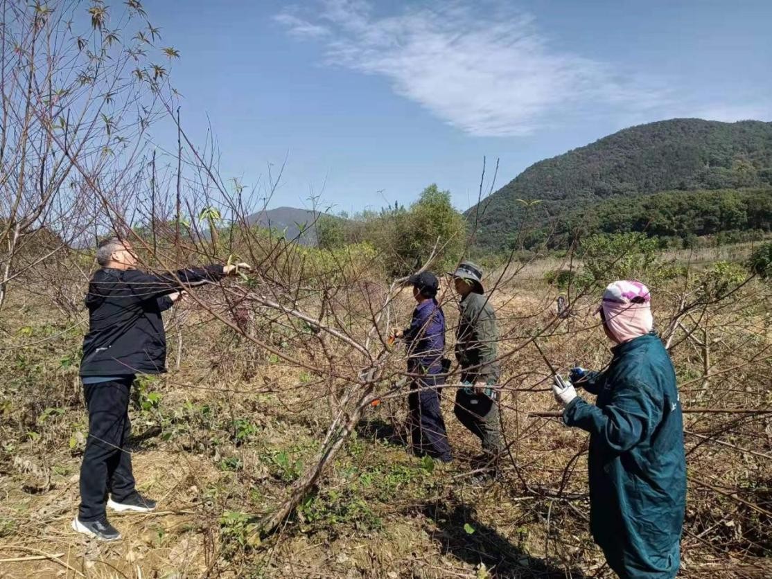 “上岸生根”奔小康 黄石市网湖湿地退捕渔民端稳“新饭碗”