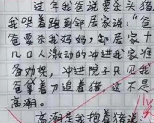 学生作文《我从哪里来》，内容真实想象力丰富，老师看后直呼天才