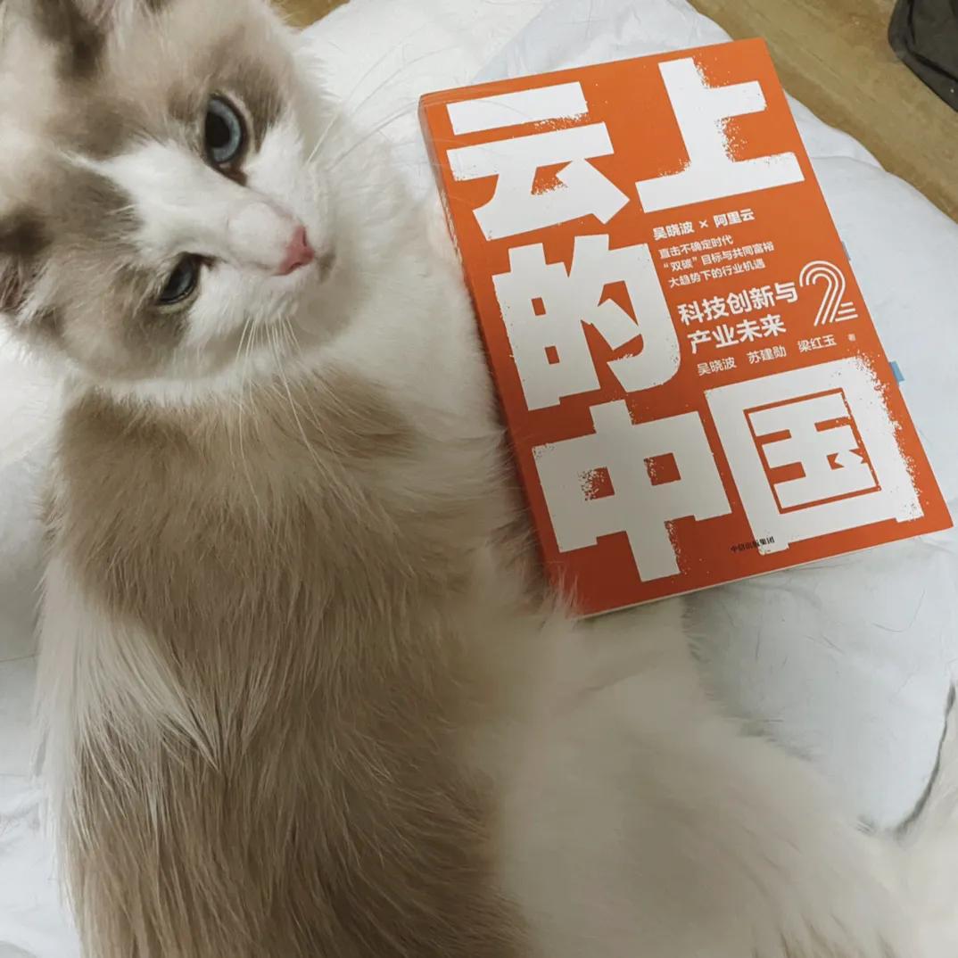 《云上的中国2》-天上飘的，不止是云朵，还有大数据