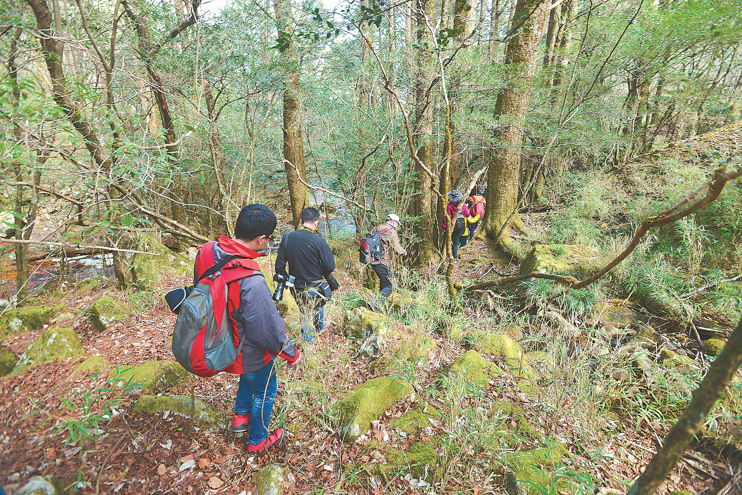 关注森林·探秘武夷——走进光泽|科考之眼，探秘“世界生物之窗”