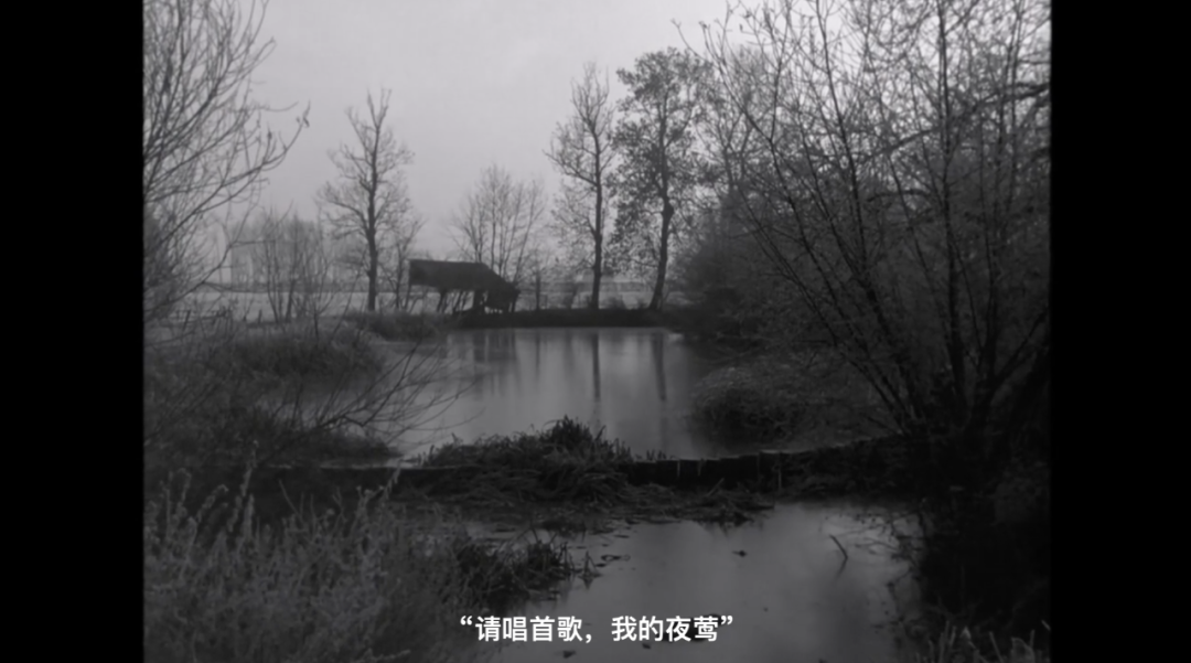 集中营里的中国爱人