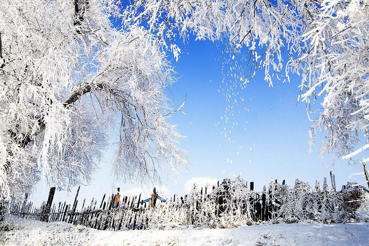 冬天的日本旅游景点（你知道，东北的冬天哪些地方最好玩吗？）