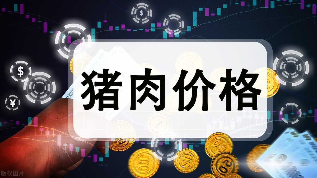 安阳今日活猪价格，四川活猪价格今日价