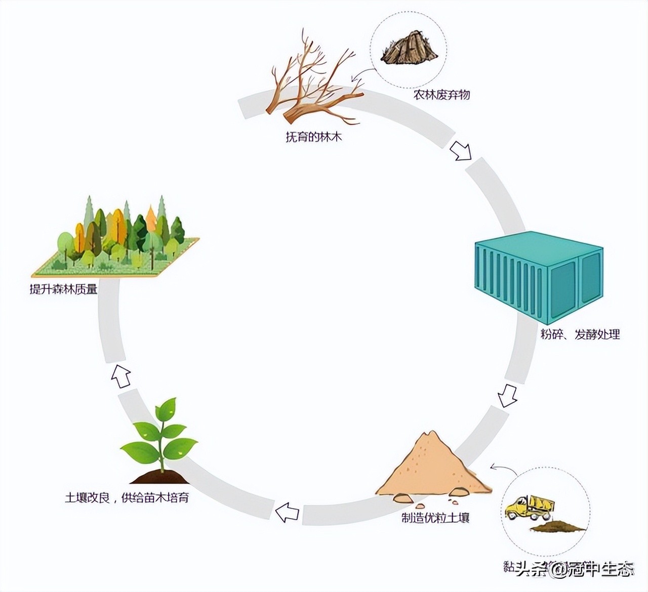 冠中生态｜揭开“优粒”土壤的神秘面纱
