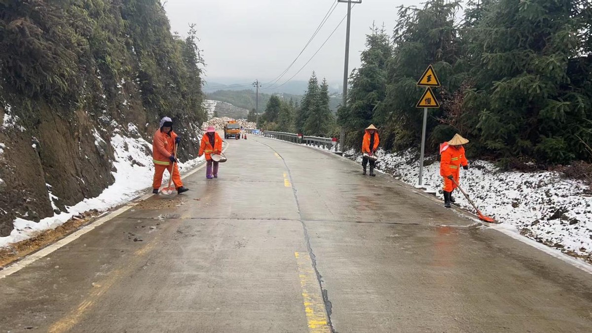 德国瑞典油锯353(迎雪而上，除雪保畅)