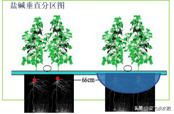 干播湿出下的五个问题与四点建议