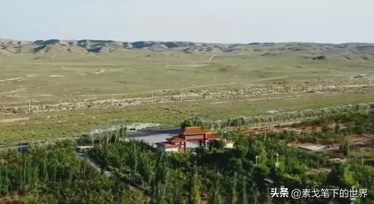 甘肃女子砸千万绿化万亩沙漠,13年后只因地里的宝贝,年入2.7亿