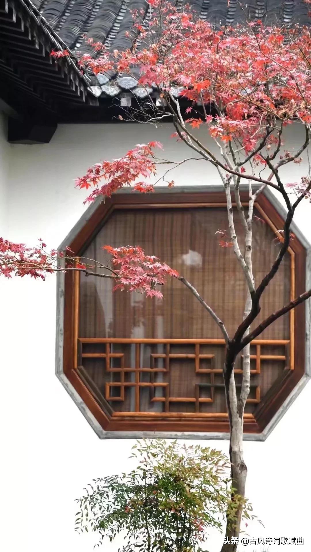 100句既有正能量，又温暖人心的句子，简短文艺，治愈心灵