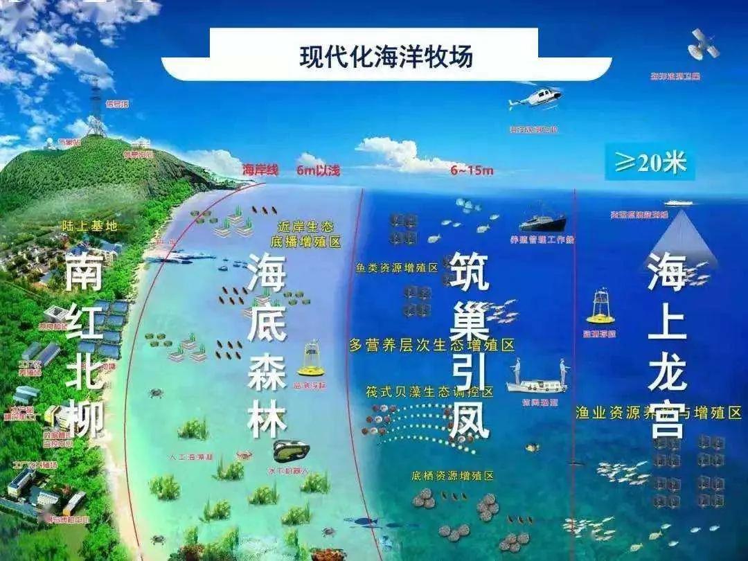 我们这五年—大区域访谈———专家谈区域海洋经济