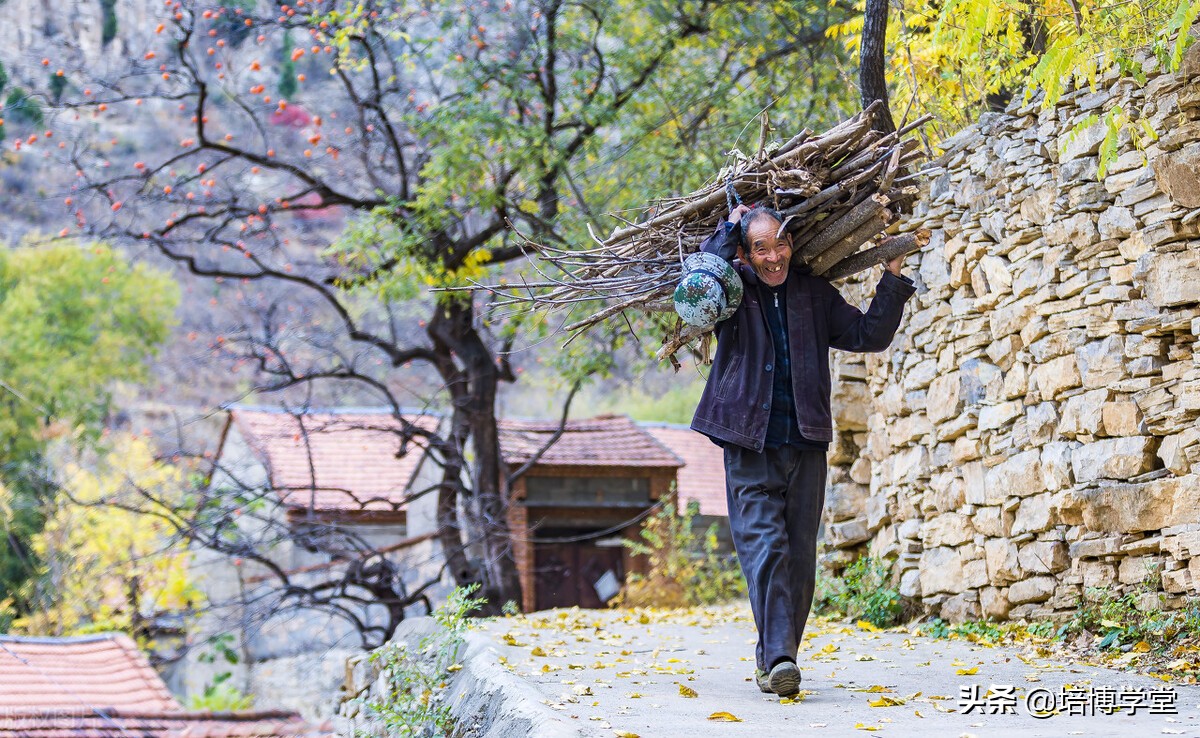 中医药的无奈，西医药的悲哀！文章不长，却寓意深长