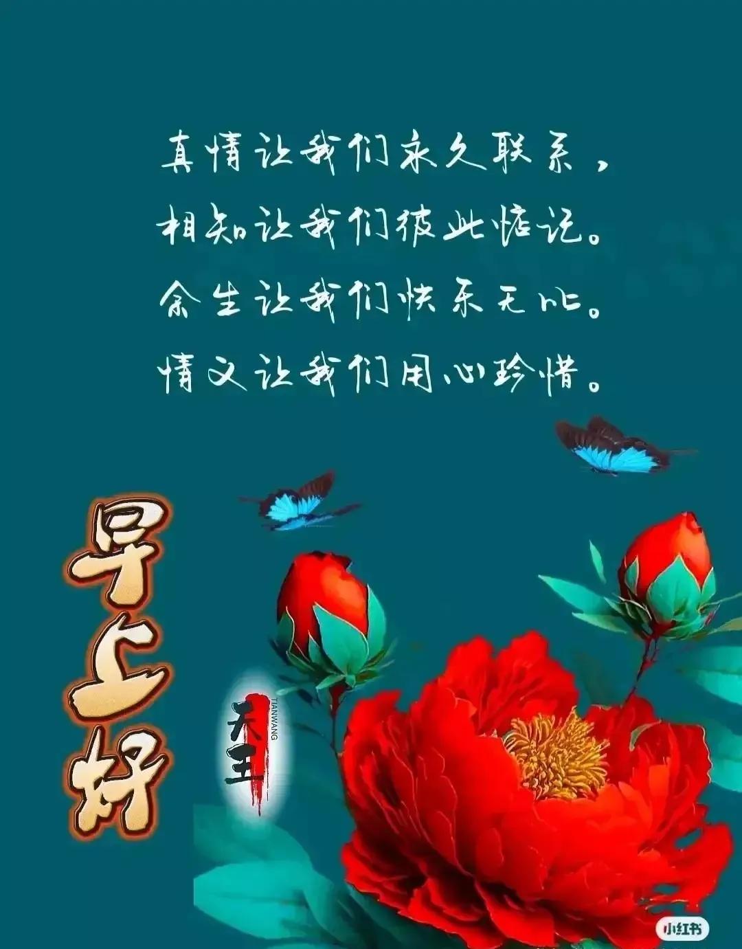 早安心语~阳光满面心情如花，笑在眉梢喜在心，怎么开心怎么生活