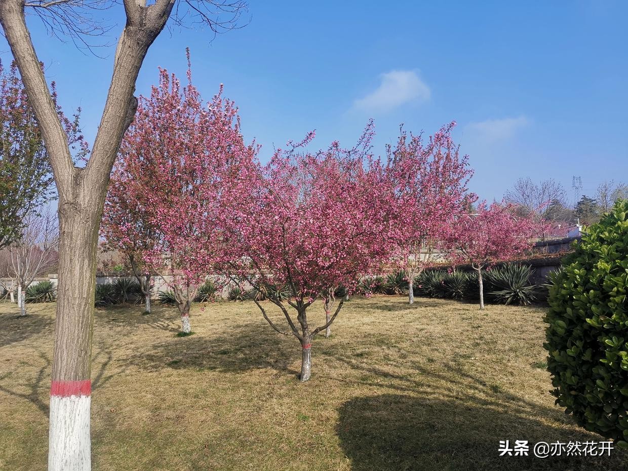 运用三种元素，采用四种方法，让对话描写出真实场景