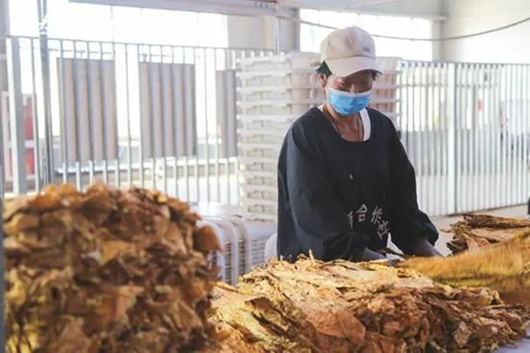 牡丹细支价格表和图片云霄假烟